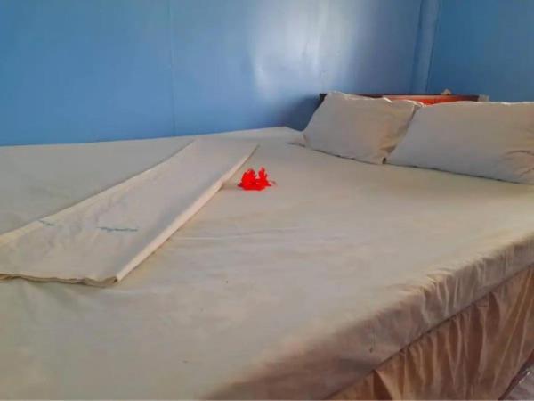 Mana Lagoon Backpackers Mana Island Exterior foto